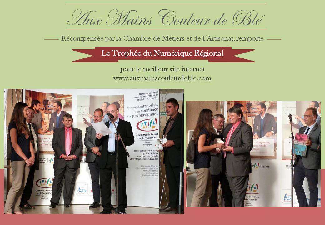 trophee_numerique_regional_boulangerie_patisserie_auxerre