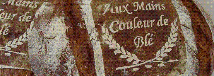 Aux Mains Couleur de Blé